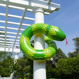 32" Snake Ring Tube