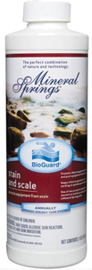 BioGuard MINERAL SPRINGS STAIN AND SCALE (1 Quart)