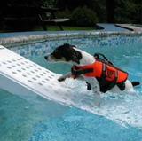 Skamper Ramp Super Pool Ramp for Pets
