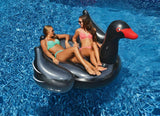 Giant Ride-On Inflatable Black Swan